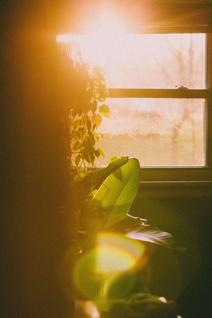 Sunlight coming through a window - natural source of Vitamin D